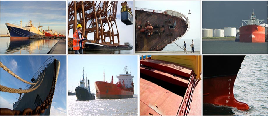 Marine Survey and Commodity Inspection